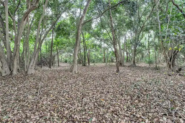 Listing Photo 16