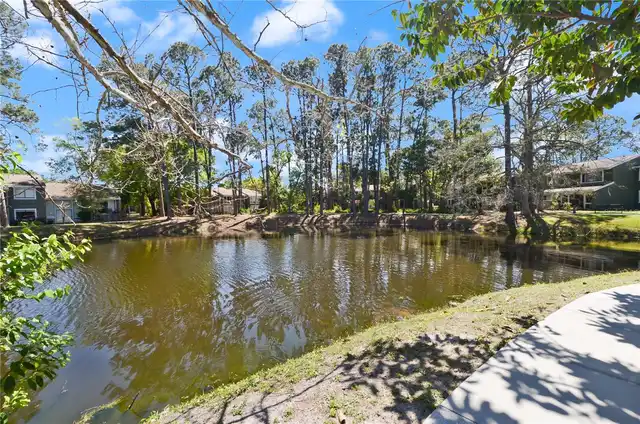 Orlando Real Estate