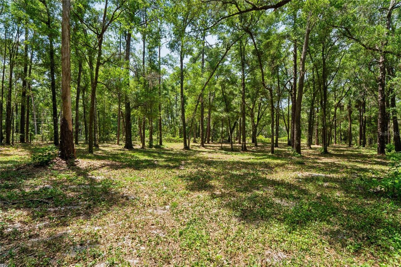 Listing Photo 73