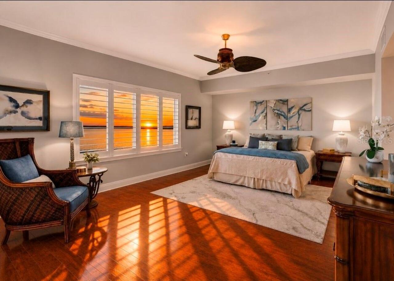 Palmetto Real Estate