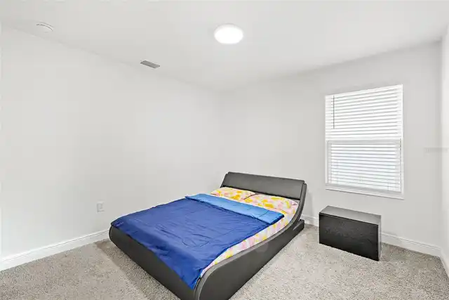 Listing Photo 29
