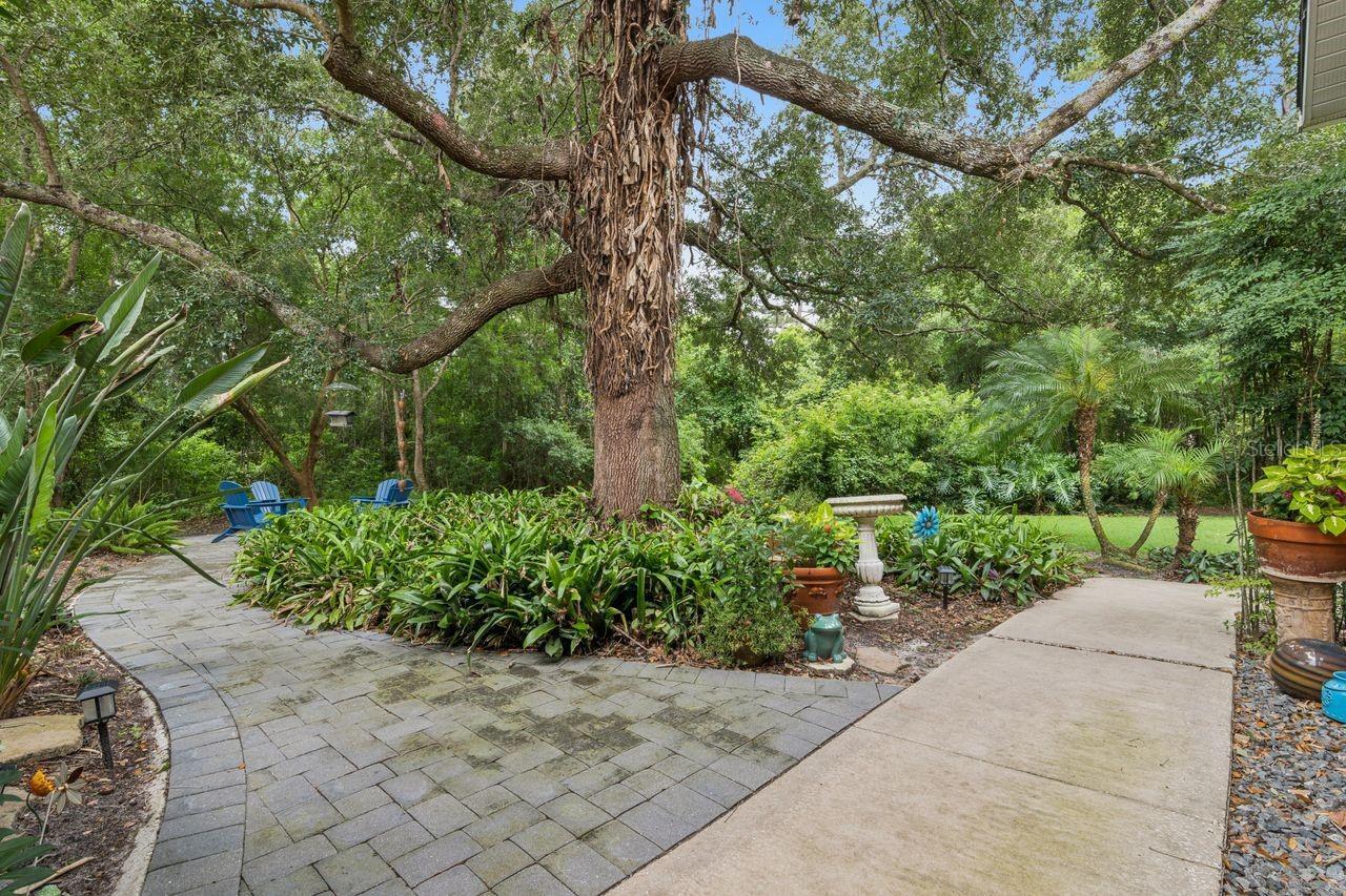 Listing Photo 47