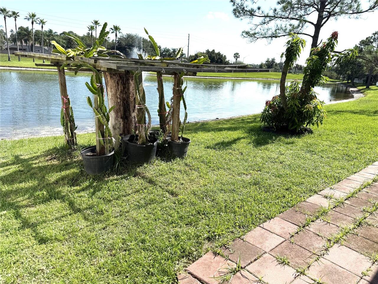 Listing Photo 32