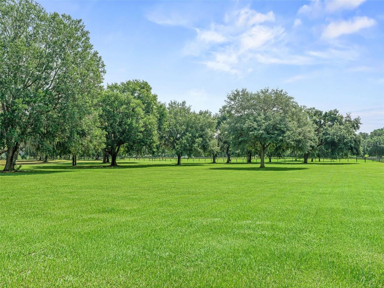 Listing Photo 45