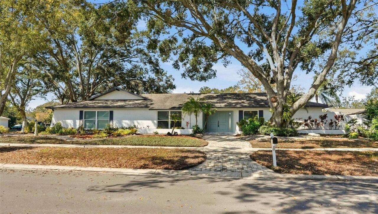 Clearwater Real Estate