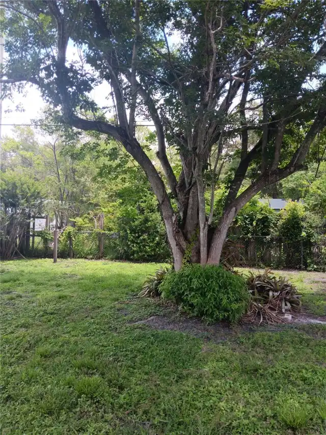 Listing Photo 24