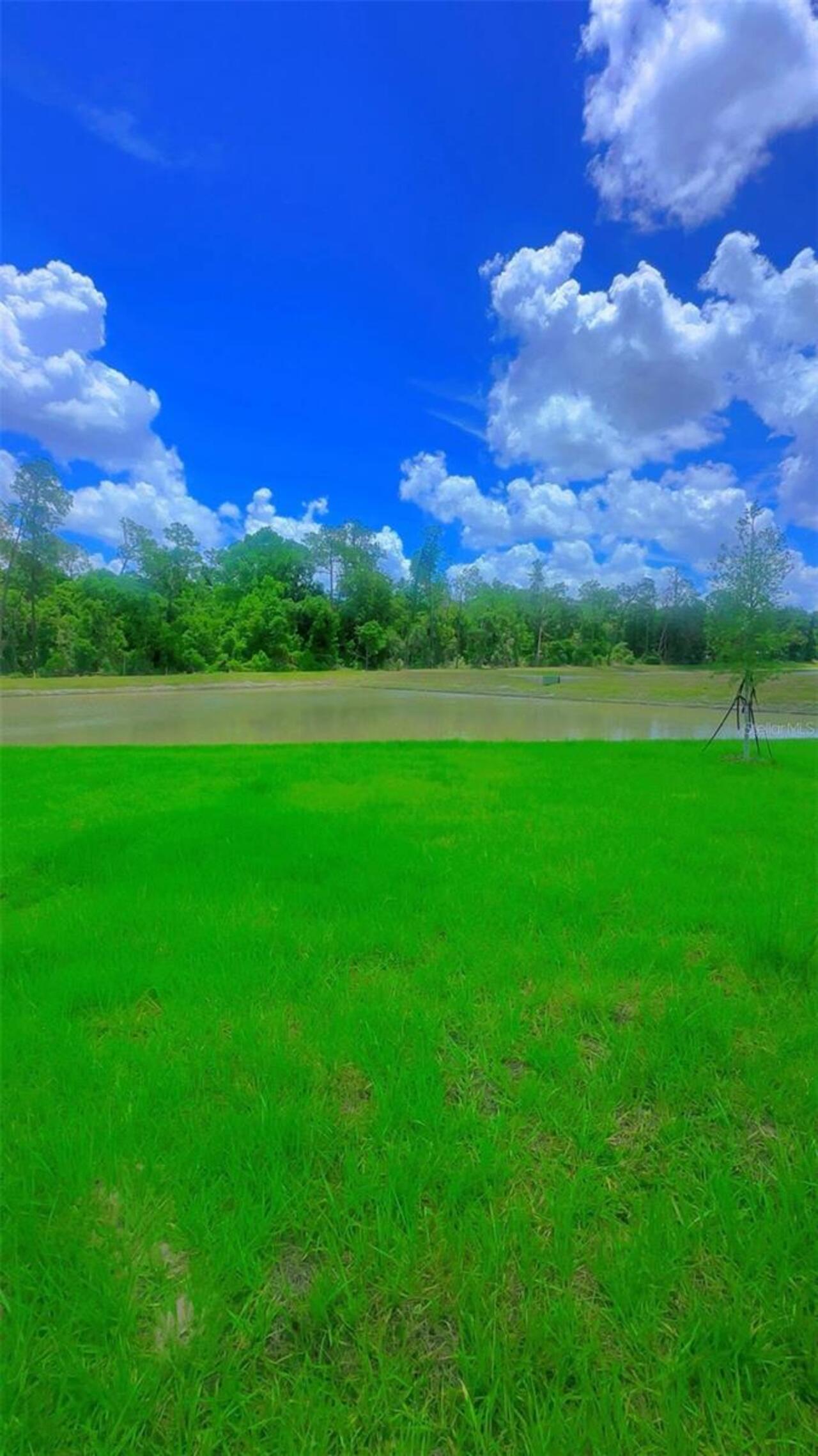 Listing Photo 37