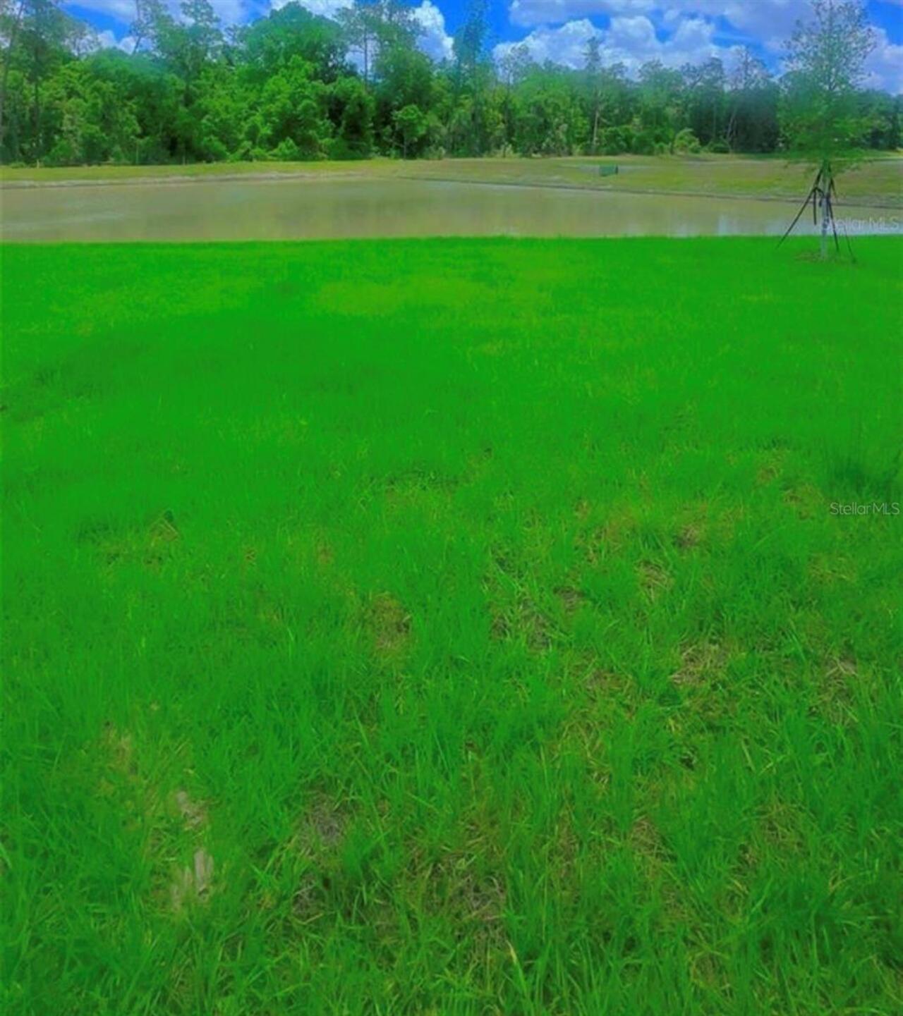 Listing Photo 38