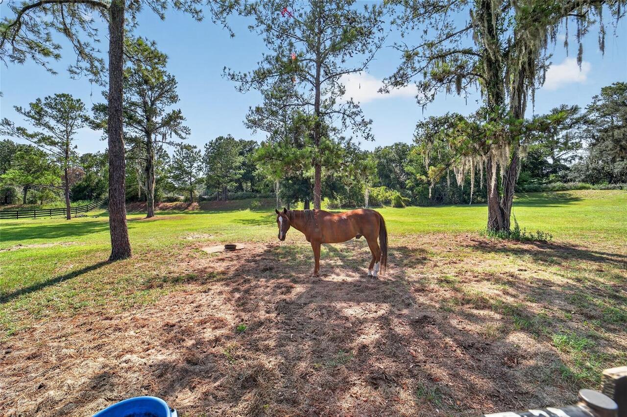 Listing Photo 76