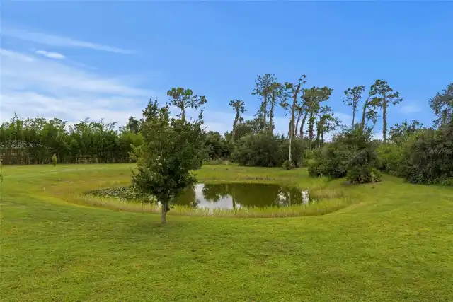 Listing Photo 45