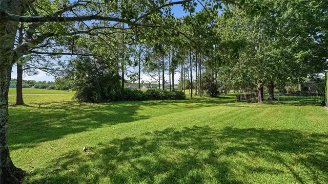 Listing Photo 81