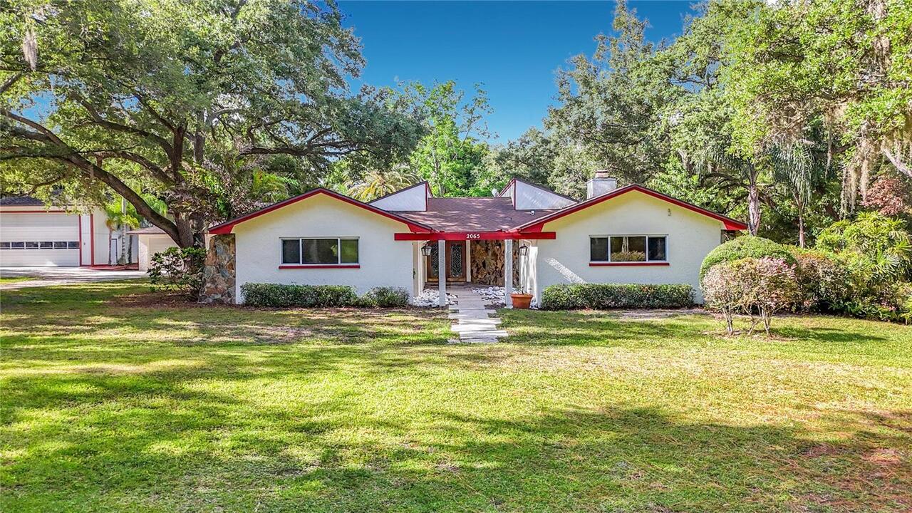 Dunedin Real Estate
