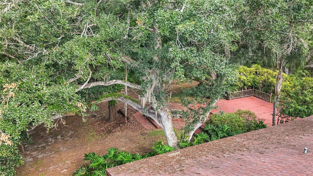 Listing Photo 65