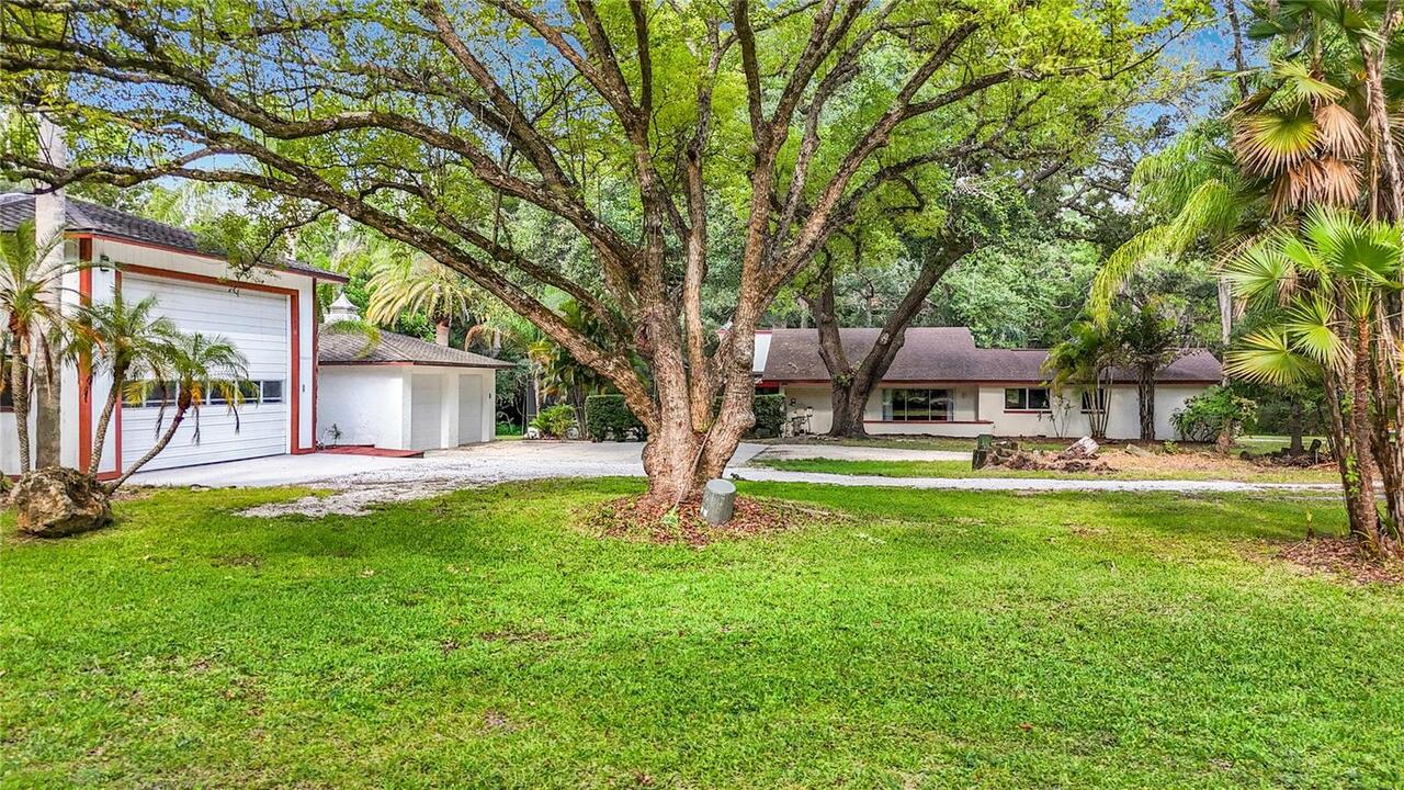 Listing Photo 74