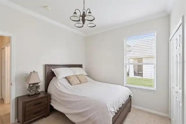 Listing Photo 29
