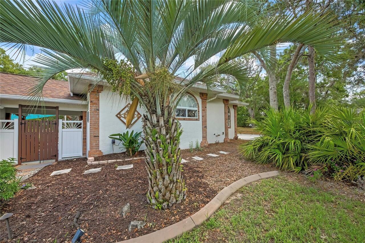 Listing Photo 64