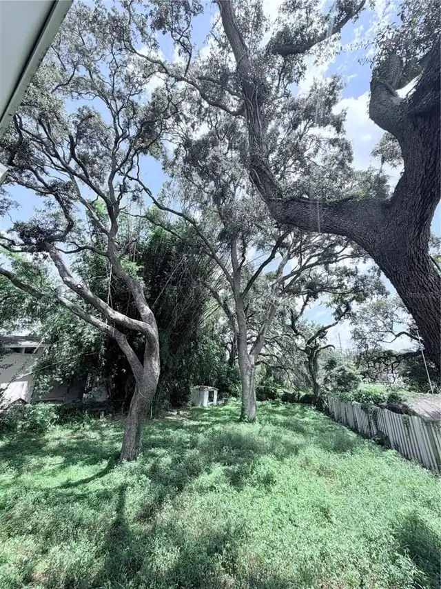 Listing Photo 16