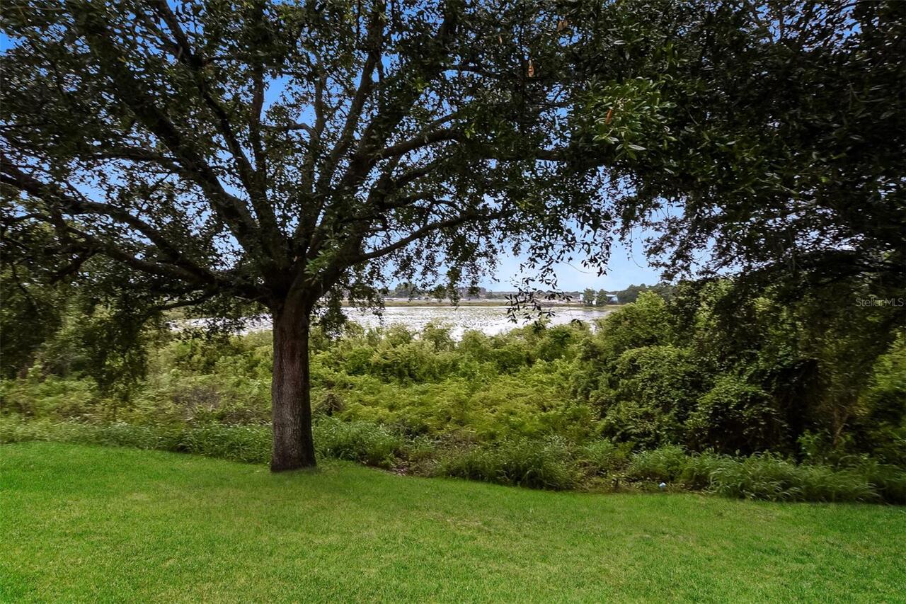 Listing Photo 33