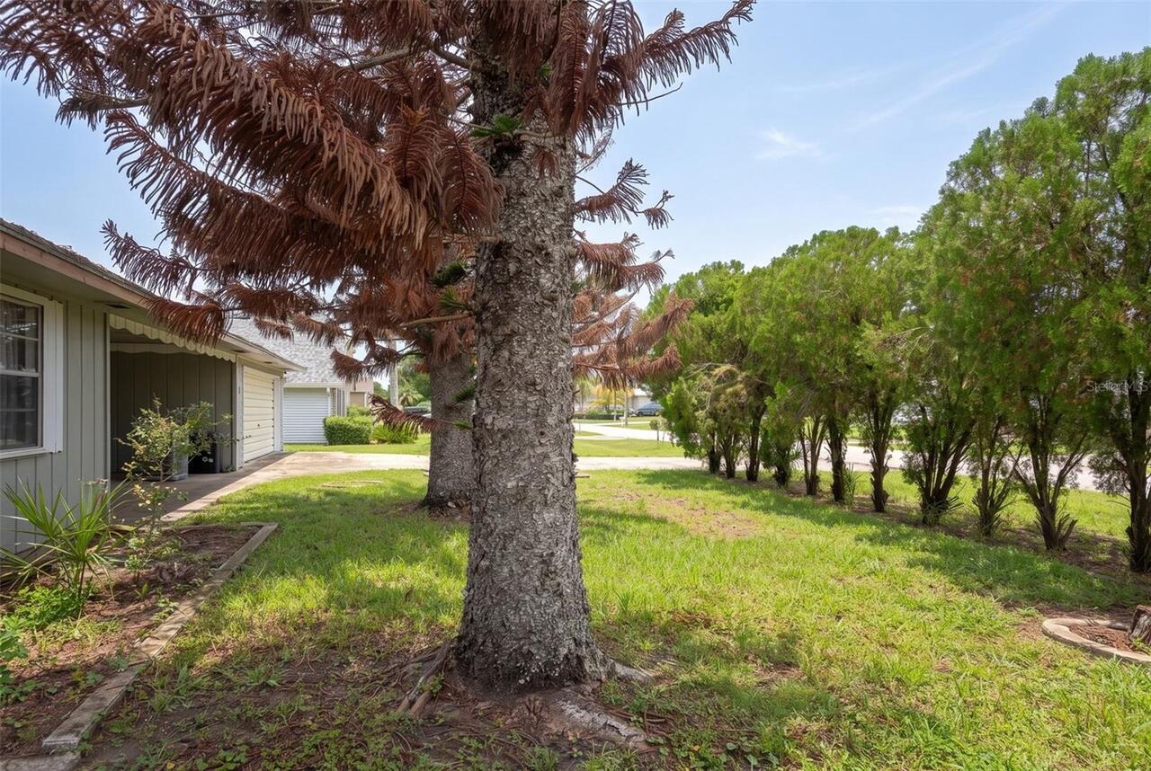 Listing Photo 42