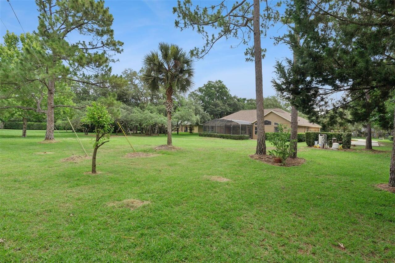 Listing Photo 46