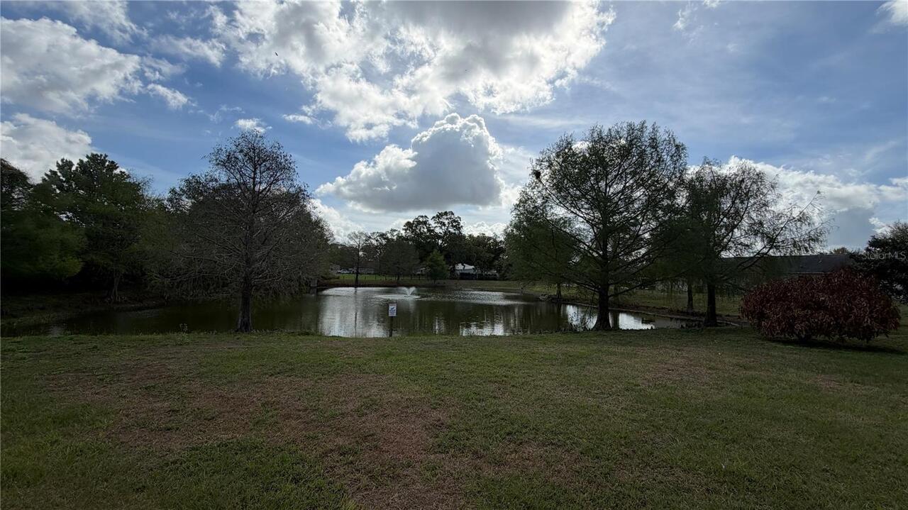 Listing Photo 23