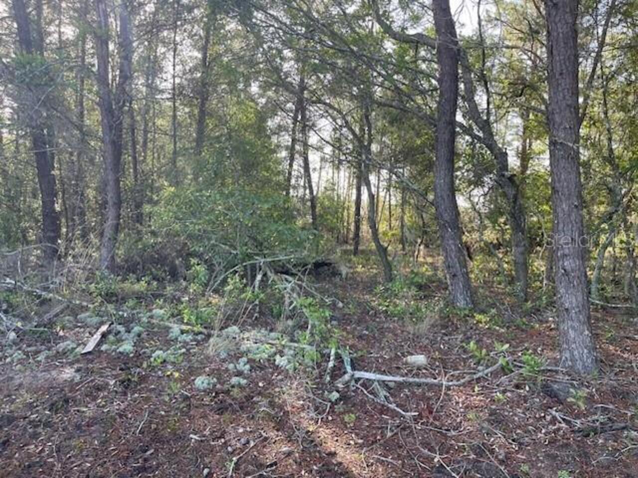 Listing Photo 4