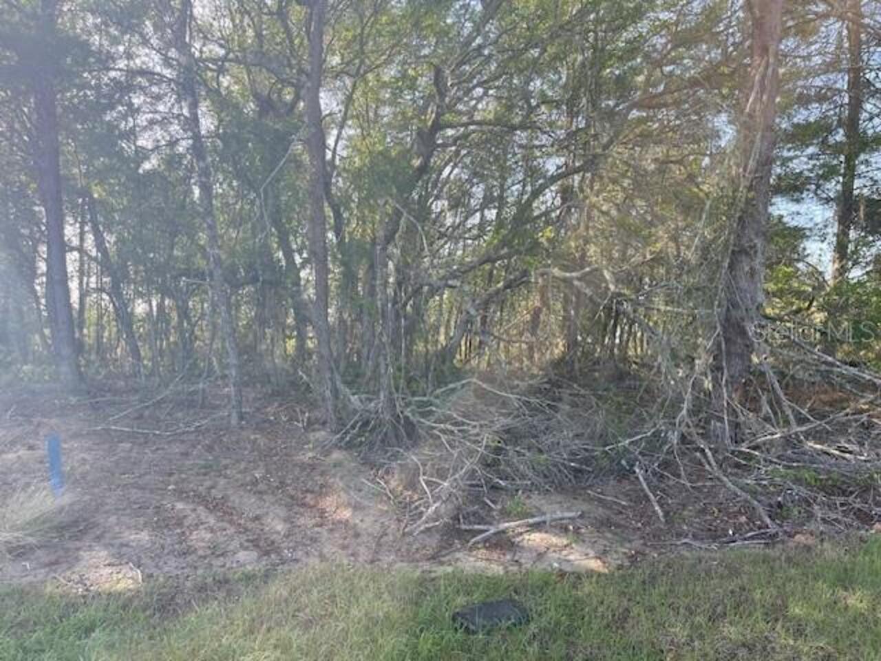 Listing Photo 5