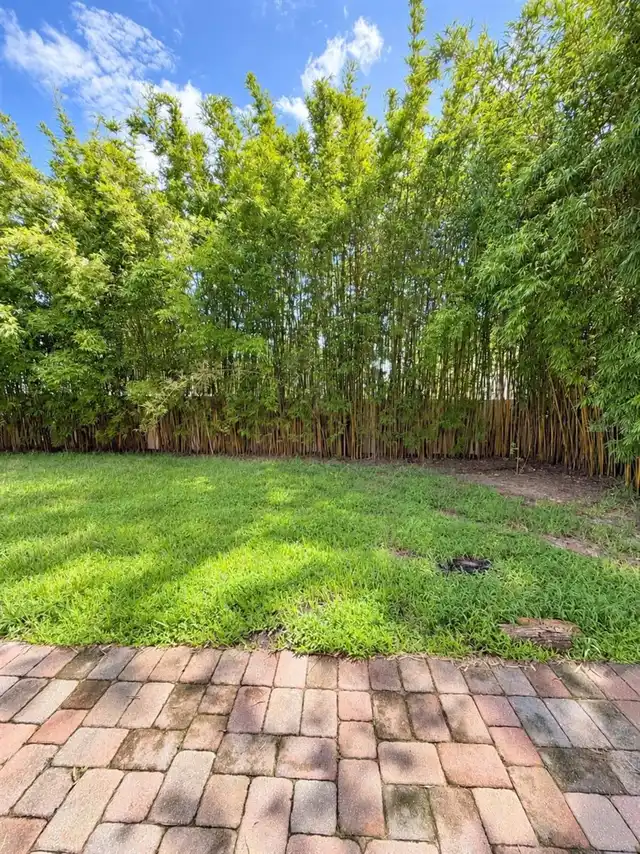 Listing Photo 33