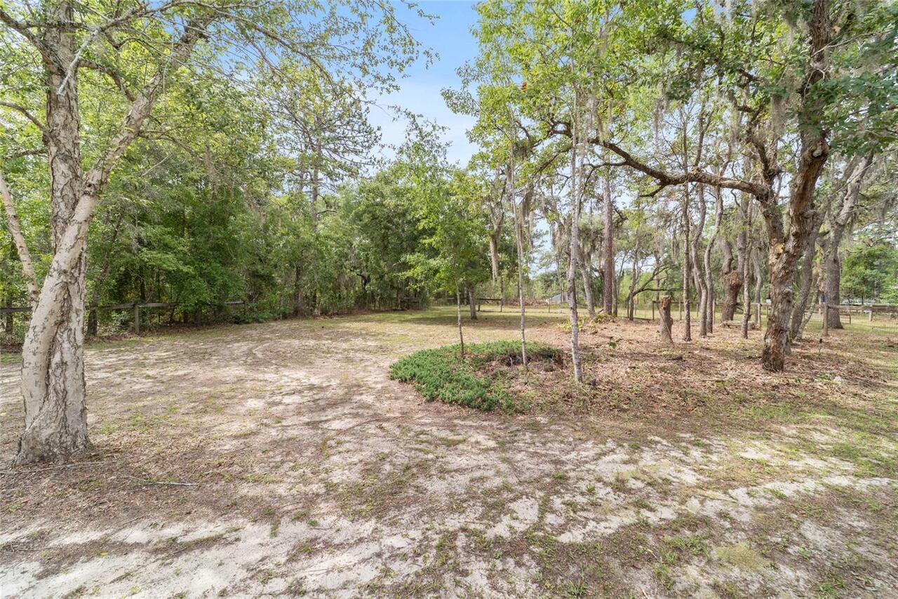Listing Photo 31