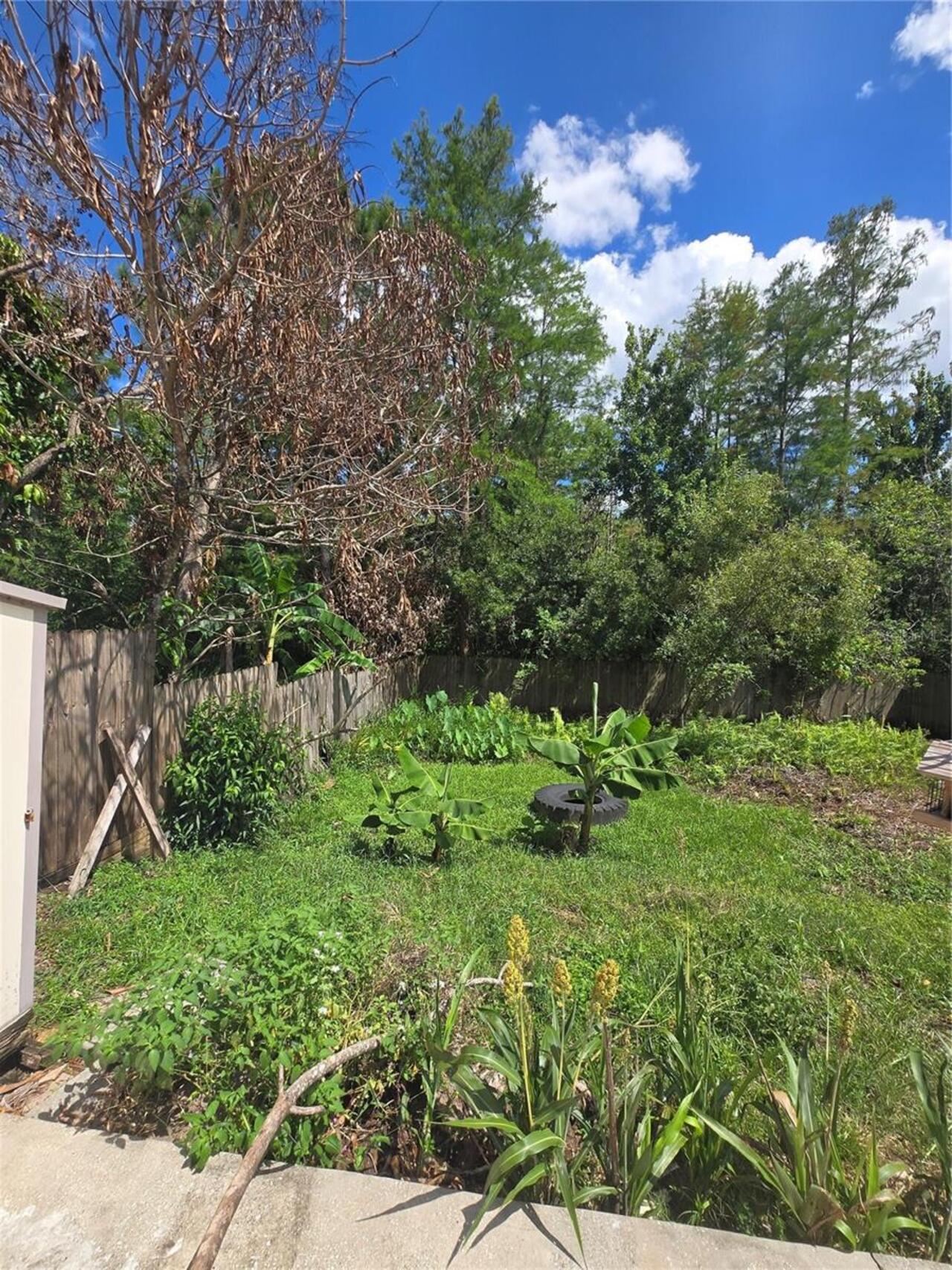 Listing Photo 64