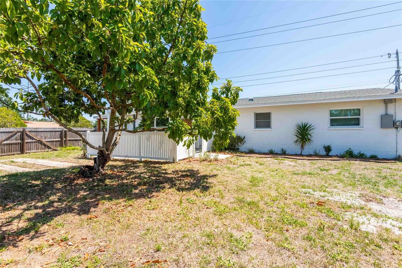 Listing Photo 29