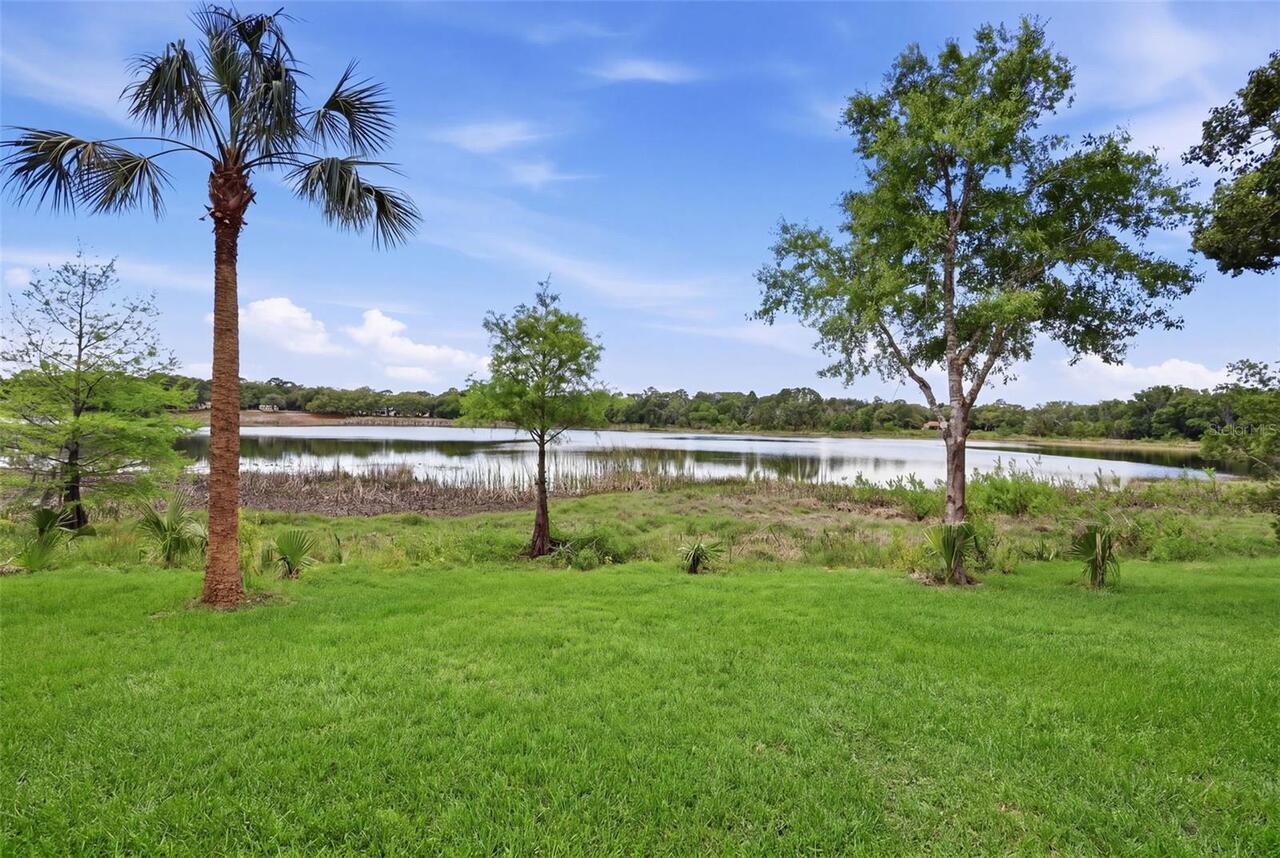 Winter Springs Real Estate