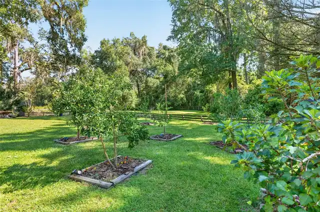 Listing Photo 68