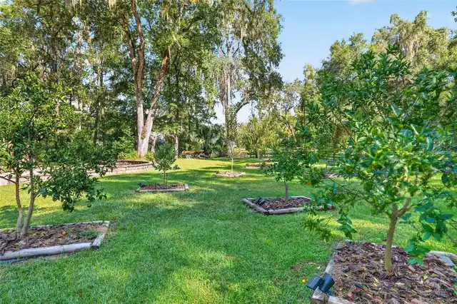 Listing Photo 69