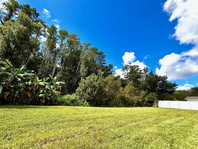 Listing Photo 31