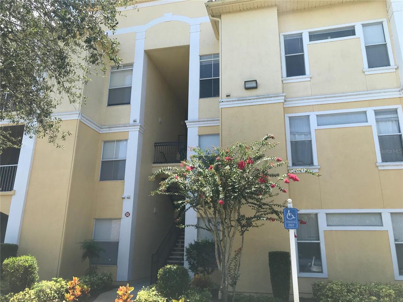 Maitland Real Estate