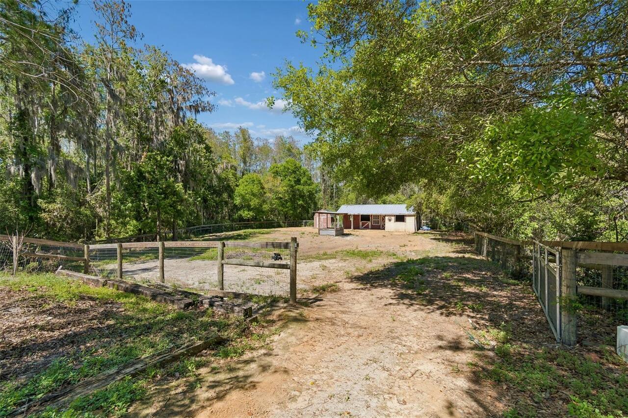 Listing Photo 28