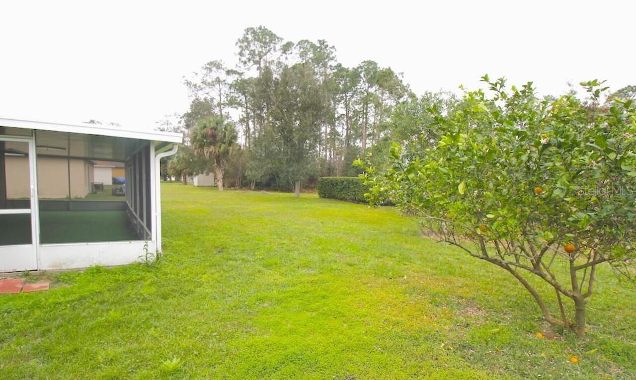 Listing Photo 37