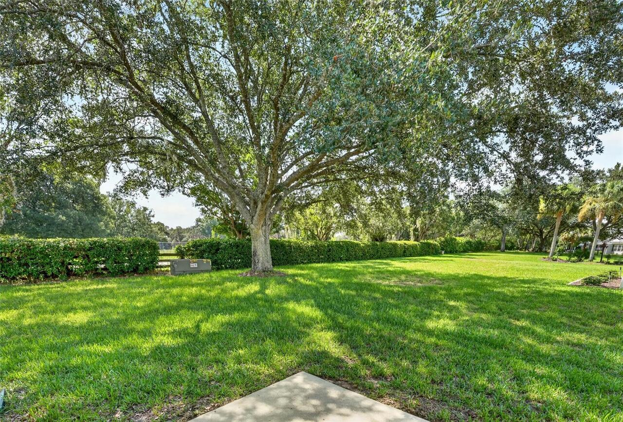 Listing Photo 62