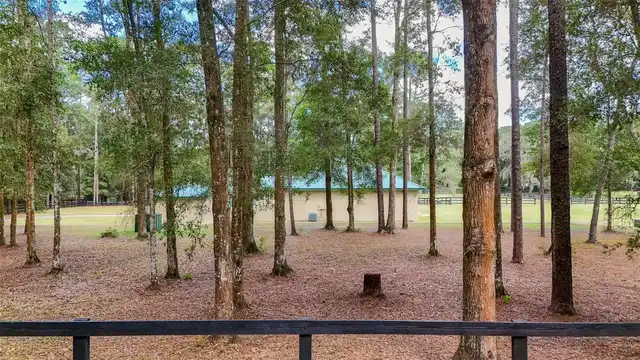 Listing Photo 82