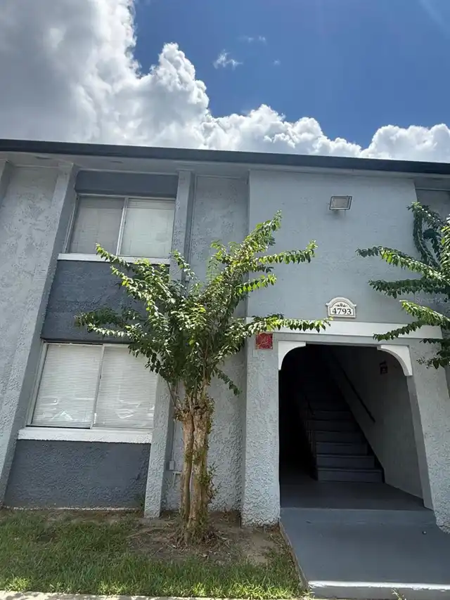 Orlando Real Estate