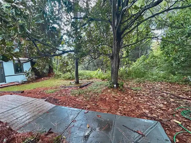 Listing Photo 17