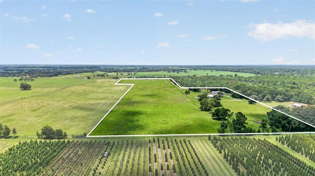 Morriston Real Estate