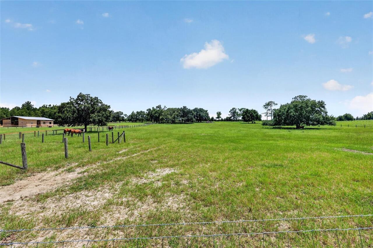 Listing Photo 14