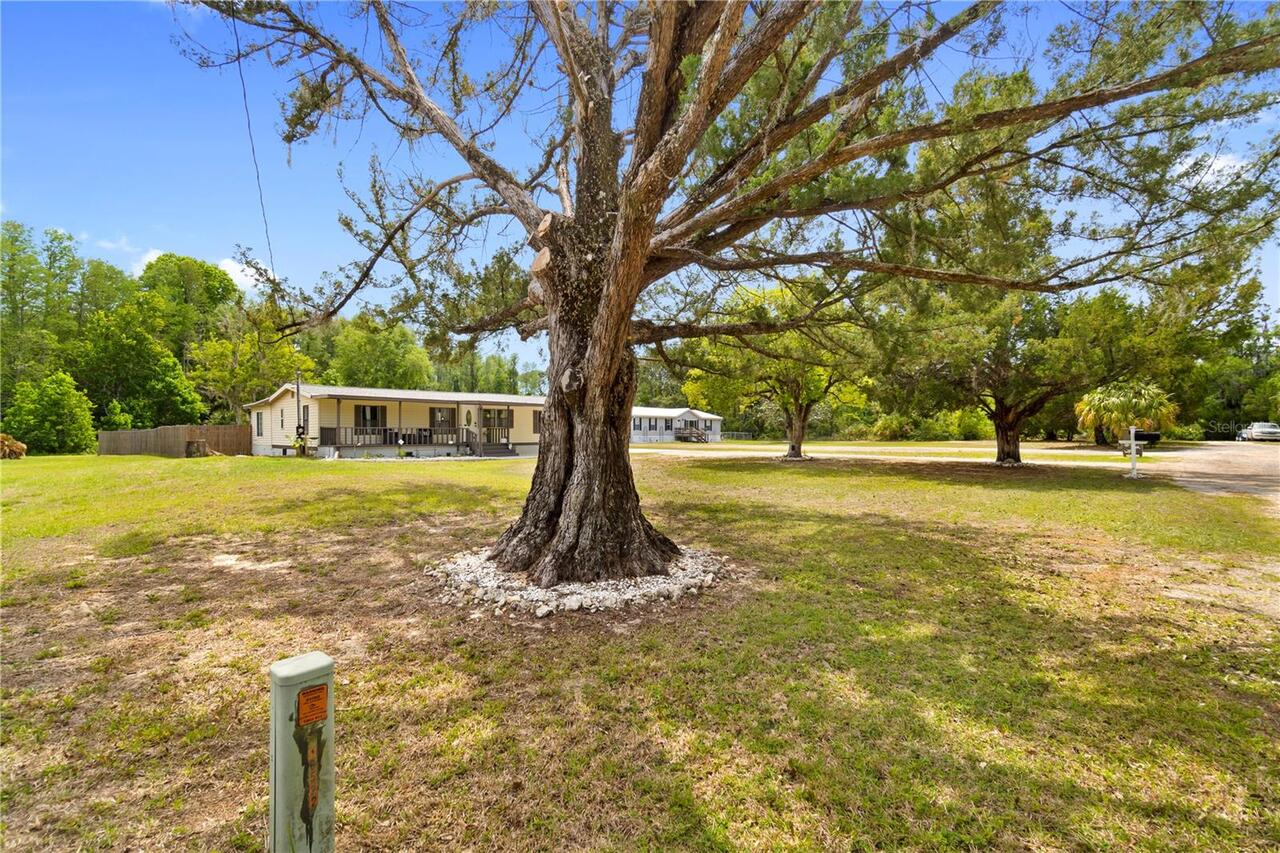 Listing Photo 45