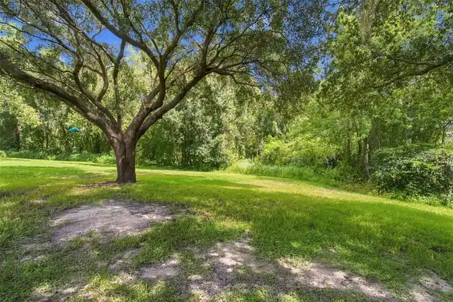 Listing Photo 62