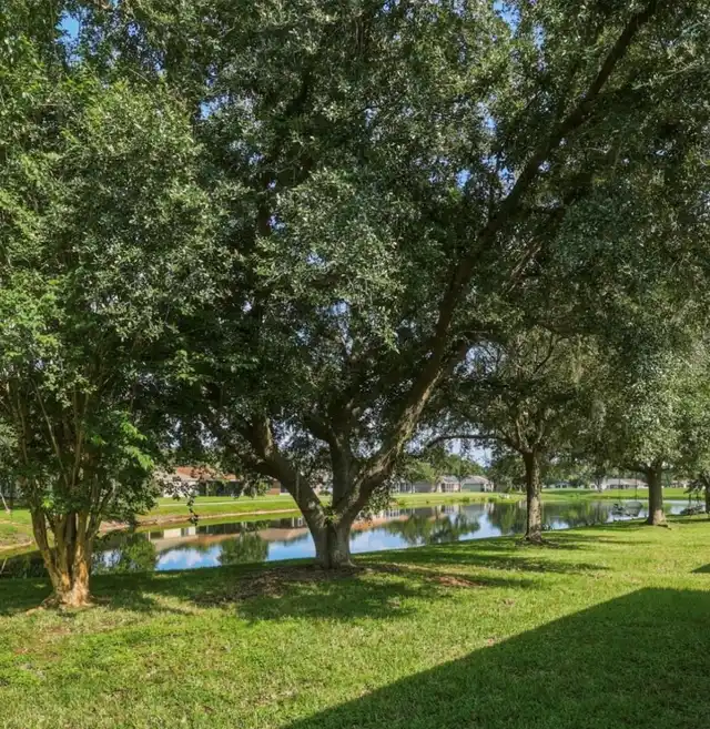Listing Photo 21