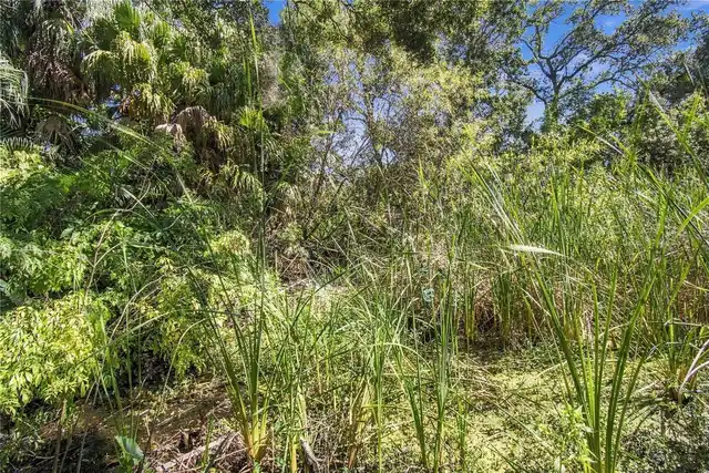 Listing Photo 75