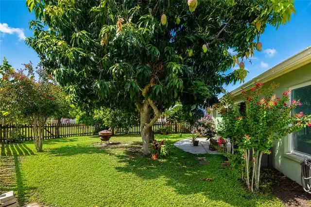 Listing Photo 45