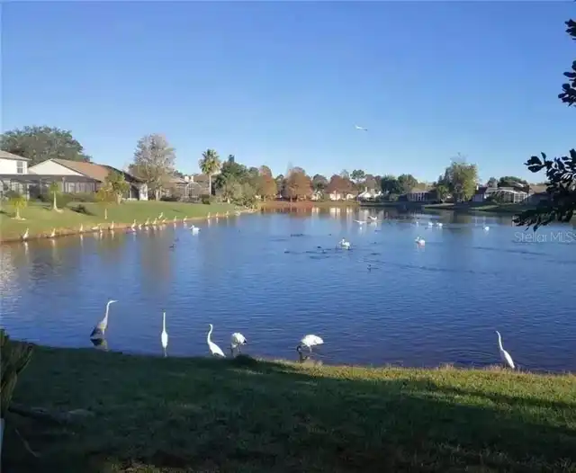Listing Photo 32